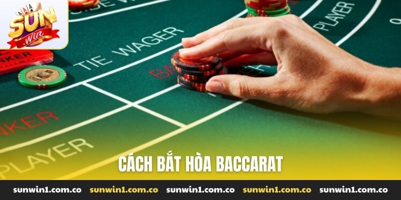 Cách bắt hòa Baccarat