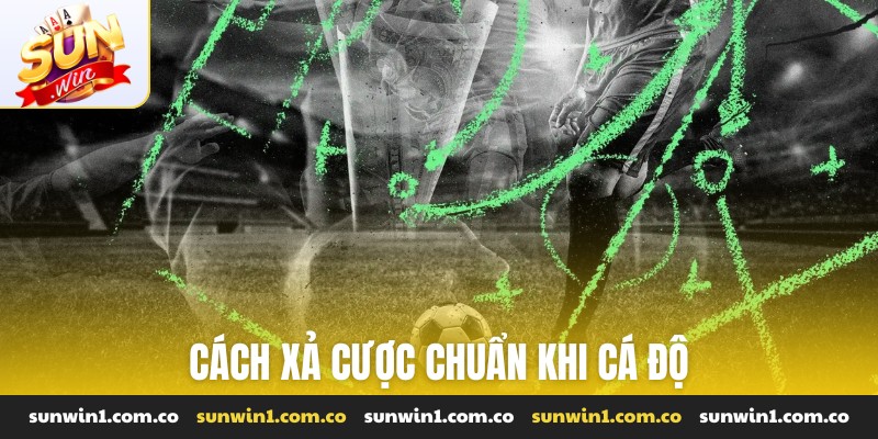 Cách xả cược chuẩn khi cá độ